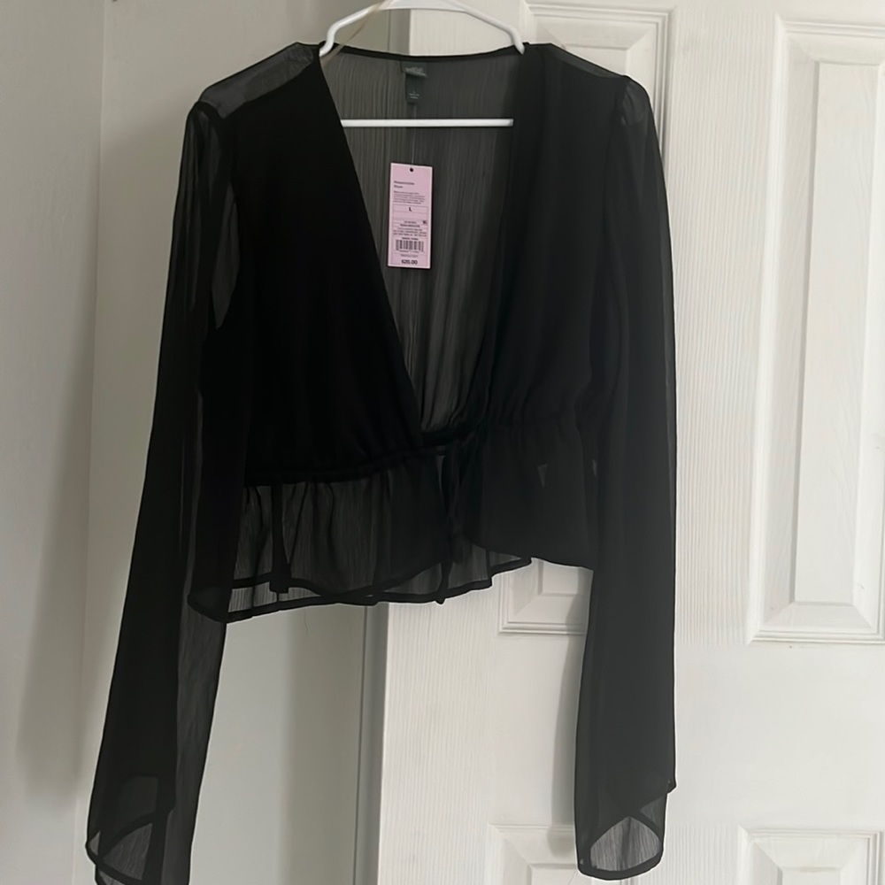 NWT crop LS sheer top